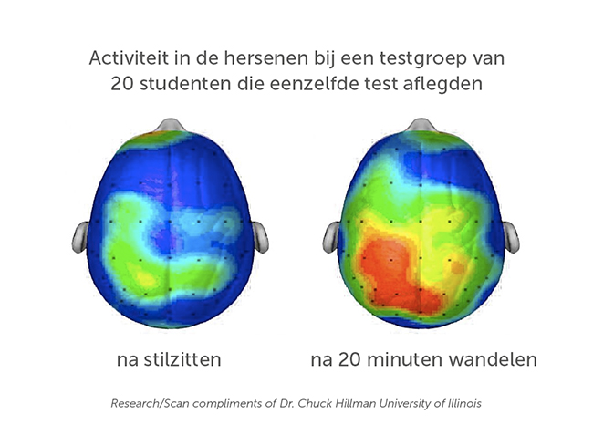 activiteit hersenen 650 dpi.jpg